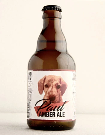 Paul Amber Ale by FORASTERA, craft Amber Ale brewed in Mallorca