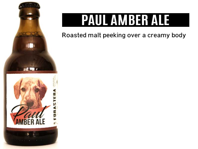 Paul Amber Ale